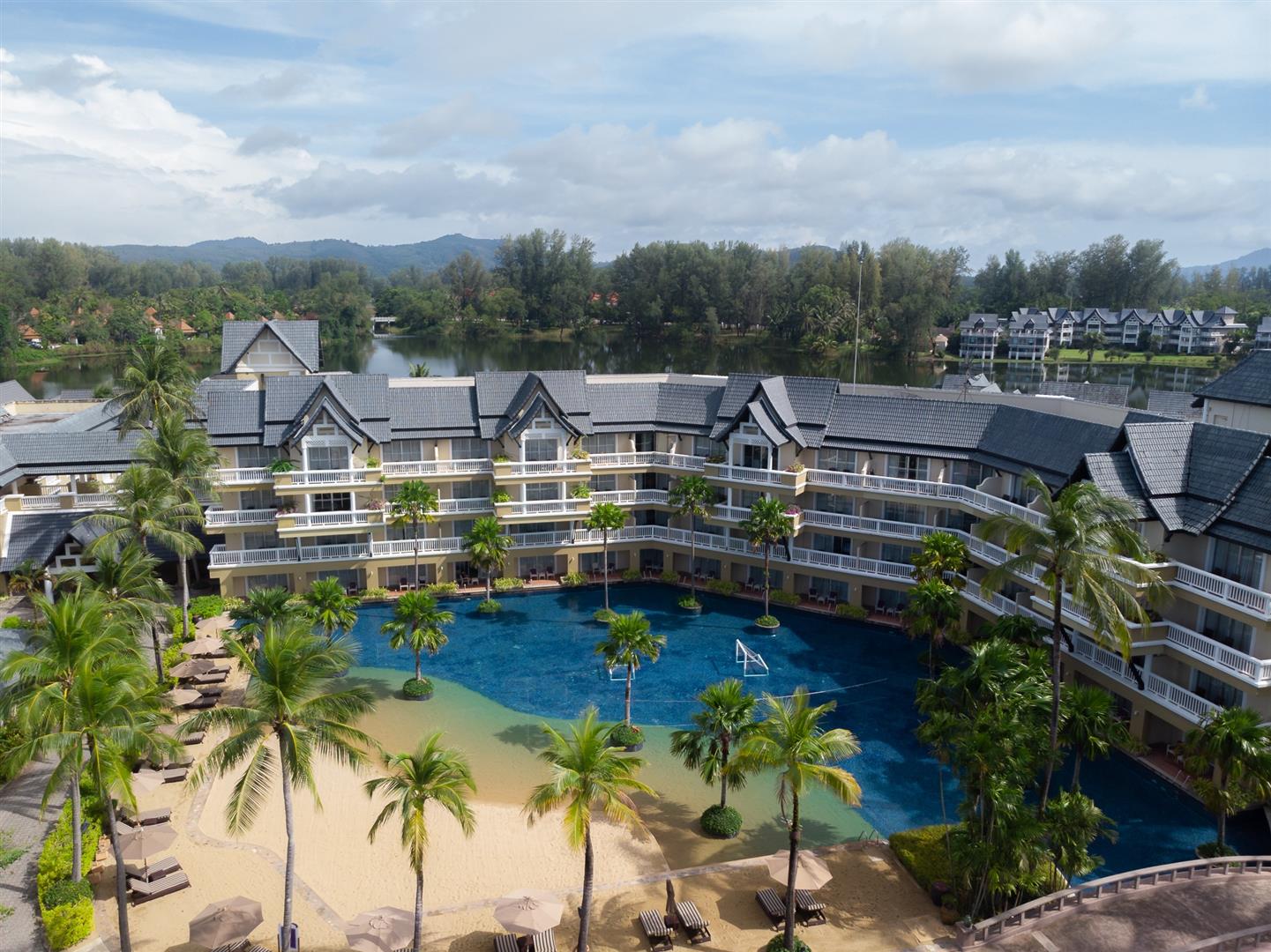 11.11 Limited Time Offer